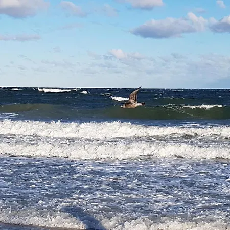 A Cappella By Altmann Lejlighed *